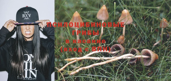 дмт Алзамай