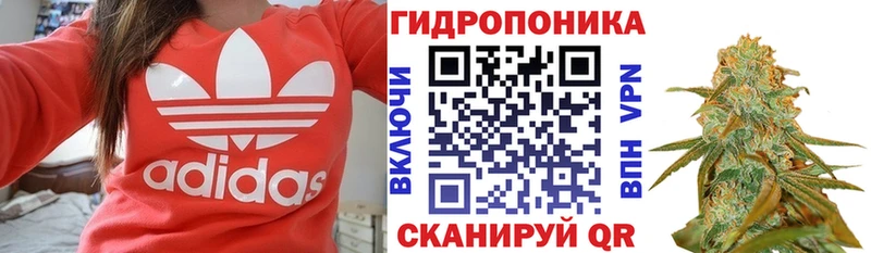Шишки марихуана семена  Западная Двина 